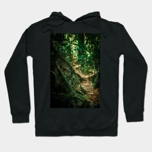 Bar Mountain Circuit Hoodie